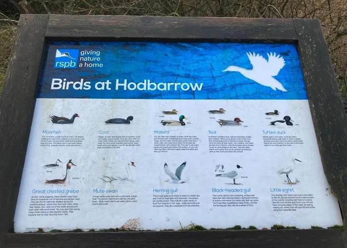 Kingdom Holiday park